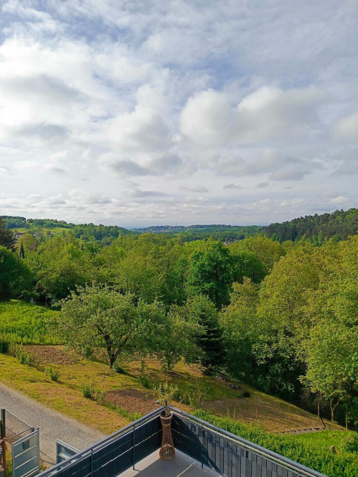 Noclegi U Ewusi 2 Januszowice  Εξωτερικό φωτογραφία